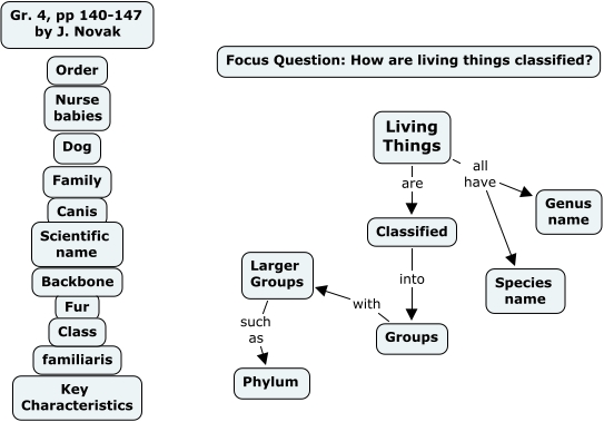 Living Things Pp140 147 Skeleton Concepts How Are Living Tings 